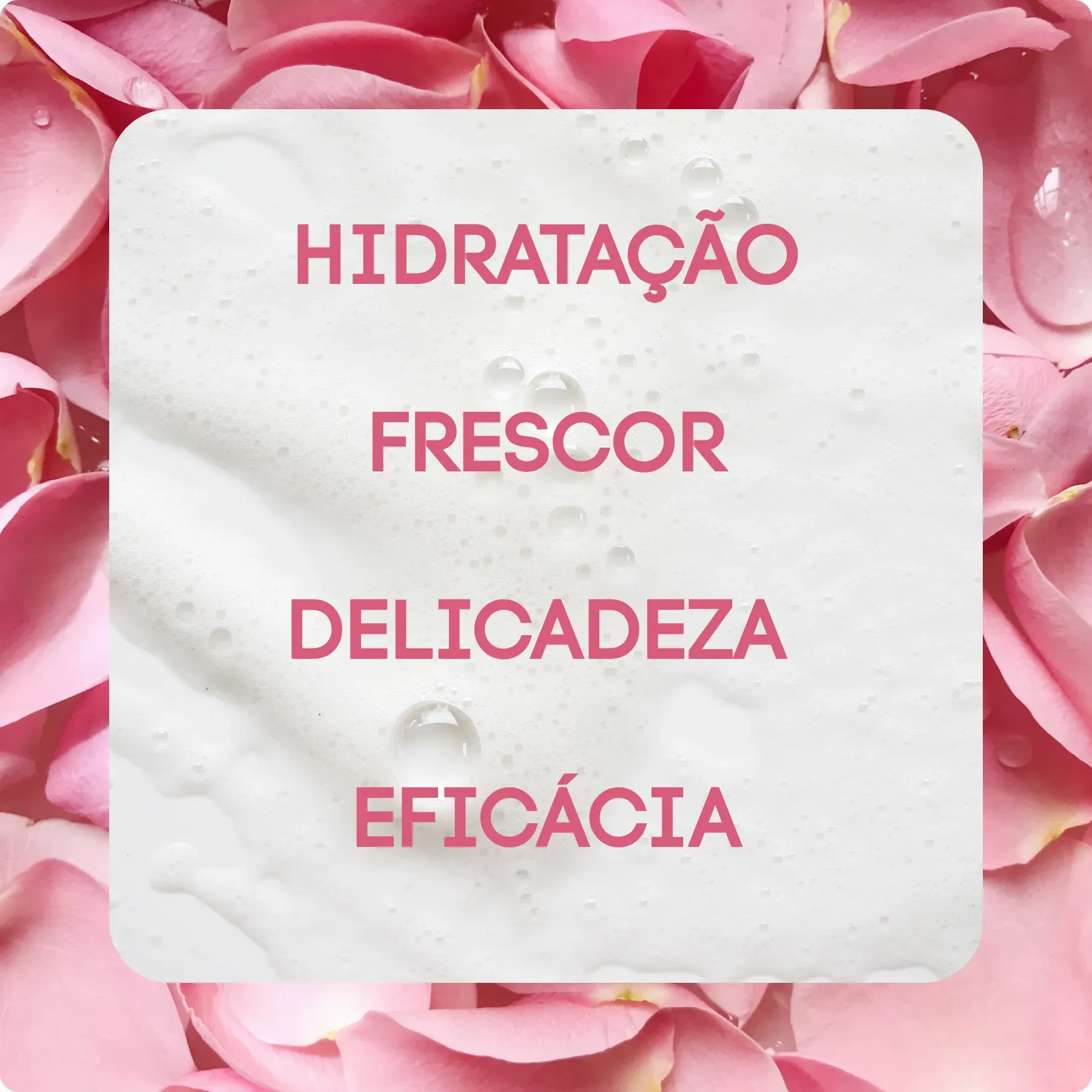 ROSAS -2-